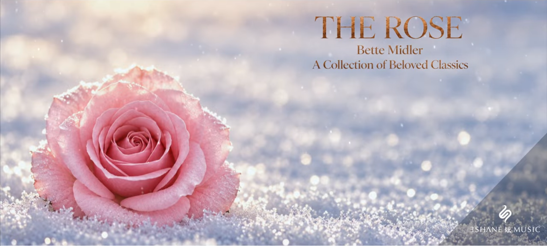 The Rose cover.